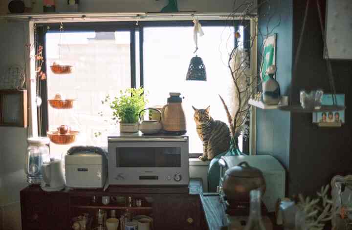 A snap of the film.

It gets lots of sunlight and is one of the cat's favorite spots.

#Moipi's room #古民家 #古家具 #ジャパンディ #木馬 #暖炉型ファンヒーター #ニトリ #IKEA #イケア #こたつ #畳 #小上がり #キッチン #台所 #kitchen