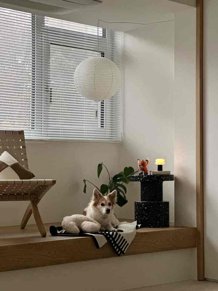 ＃昼と夜の私たちの家は最近ずっとありました。 
ペーパーランプ💡ついにインストールしました。 

ウィンドウシートに浮かぶヌノーズ月のおかげで
書斎の雰囲気がしっかり変わった感じです。 ⊹࣪˖ 
日中見てもきれいで夜に見てもきれい！

ヌノーズペーパーランプは30cmから60cmまで
スペースサイズに合わせたさまざまなサイズオプションがあり、
ソケットも天井取付型のペンダントソケットと
コンセント接続型のプラグソケット2つの用途があります。
私は[40cm |コンセント接続型]で選択しました。 
𝘕𝘜𝘕𝘖𝘡ハングタックも感性

育てるかと毎日疲れをつけて生きるが
こんなに小さな変化で大きく変わる雰囲気を見ると
家の飾りはあきらめません。 ᐧ༚̮ᐧ 🤍
今月曜日に待っていた新しいソファも来る予定です。
またどう変わるかワクワクします.. 🫶🏻

＃ヌノーズ＃ペーパーランプ＃nunoz＃paperlamp＃ハンジランプ＃ハンジライト＃ウィンドウシート＃書斎インテリア＃カルハンセンアンサン＃カルハンセンキューバチェア＃イシラメゾン＃ビットスツール 
