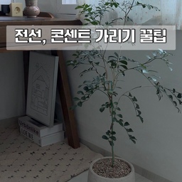 보기 싫은 전선, 콘센트 너무 거슬리죠?
제 책상 아래쪽에 정말 너저분하고 콘센트 커버까지 사라져서 못생긴 공간이 있어요.
쓰지도 않는데 달려있는 케이블이 있는데 전세집이라 뗄수도 없어서 저렇게 둘 수밖에 없는데요🥲
전에는 스탠 트롤리로 가려뒀다가 트롤리를 빼서 어떻게 가릴까 하다가 액자로 가려보았어요!
근데 높이가 낮아서 밑에 인테리어 모조 책을 받쳤어요.
완전 감쪽같죠? 보기 싫은거 가릴 땐 액자가 최고에요👍🏻
#살림살이 #콘수프기록 #전선가리기 #콘센트가리기 #전선정리 #인테리어북 #인테리어소품 #액자인테리어 #예쁜액자 #액자추천 #a3포스터 #인테리어꿀팁 #꿀팁공유 #맞팔선팔 #생활꿀팁 #콘센트가리개 