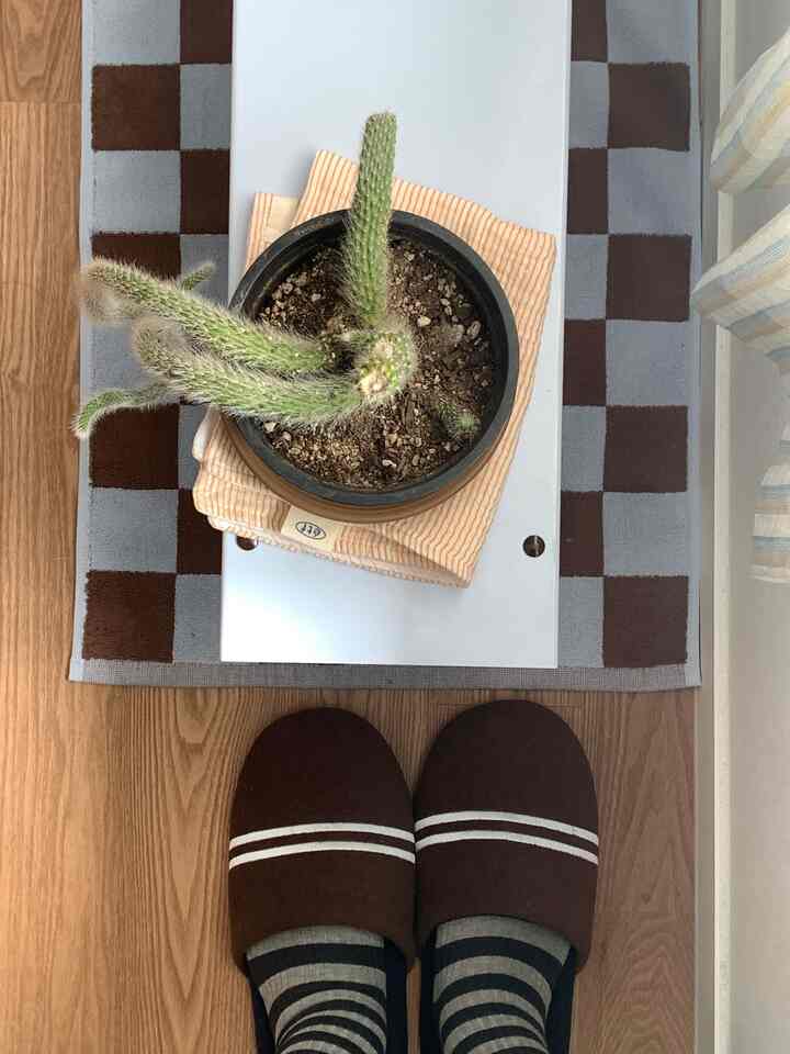 ブラウンとナチュラルカラーの小さな玄関空間、チェッカーボードのバスマットとヴィンテージの鉢植え、ブラウンのスリッパが配置された雰囲気のあるインテリア