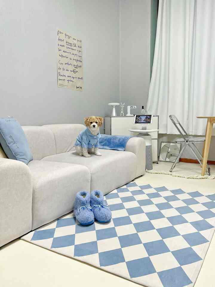 Halo! Ini Hoi🧸
Aku tinggal dengan orang Malta bernama Hoi haha
Saya suka warna langit biru dan putih
Saya juga penggemar Harry Potter :)

Saya suka memanggang dan memasak
Saya juga suka mendekorasi rumah saya secara detail, jadi saya akan menunjukkannya lebih sering kepada Anda!
Saya sering berkomunikasi dengan anggota Reboot 2🩵


#RebootCamp #자기소개 #블루인테리어
