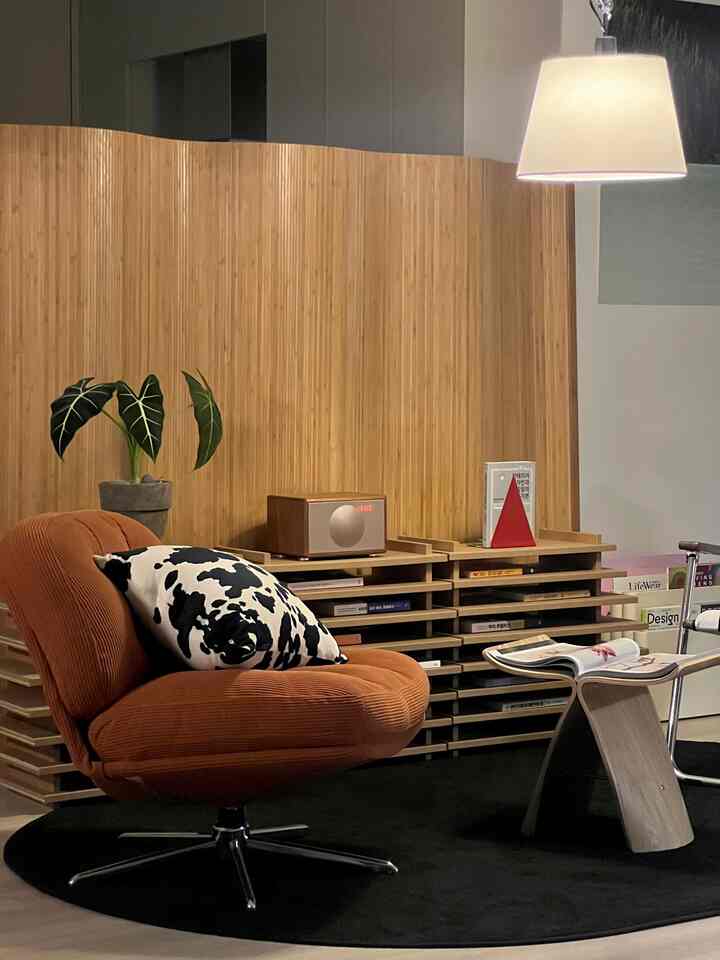 Modern living room featuring a brown armchair and black rug, with wooden bookshelf and plant complementing the simple setting