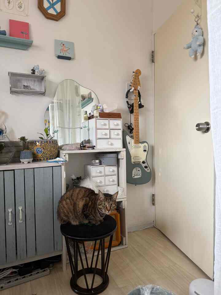 白とナチュラルな色調のコンパクトな部屋、猫とスツール、鏡とギターが配置された雰囲気のあるインテリア