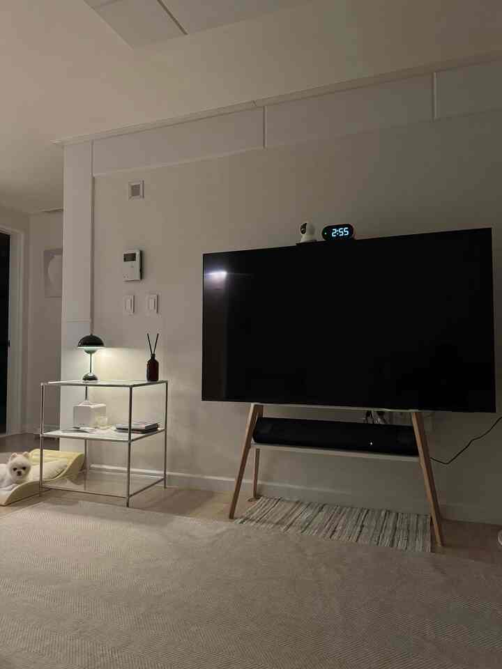 ホワイトとベージュのトーンのリビング、テレビ台とラグ、小型犬のための居心地の良いペットスペースがあるモダンでナチュラルなインテリア