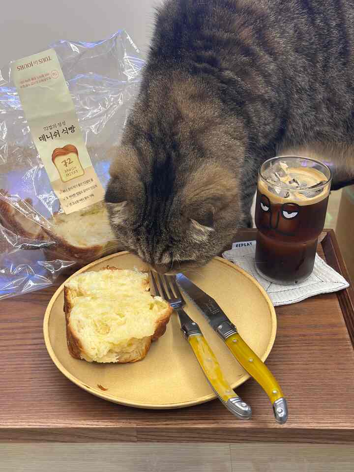 ＃オーホームストア＃コンスープ記録＃コンスープ
豆を変えた金の週末
一杯のコーヒー - 降りる地球
トゥレジュールに64枚デニッシュパン（？）と一緒に食べました！

ティコは頻繁にパンをなめます。
バターがおいしいか;; ㅋㅋㅋㅋㅋㅋㅋㅋㅋ

＃ホームカフェ＃デザート＃皿＃トレイ＃トレイ＃ラギオール
＃デザート＃ティーコースター＃カップコースター＃猫の家 
#猫の家 
