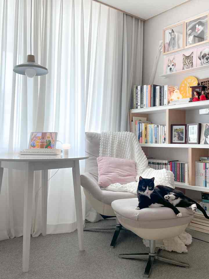 ＃自宅で最も忙しい＃コンスープ記録1
春の本棚を整理する一日✨
本棚に読まない本も大多数
引っ越すとき、本棚を処分して本を減らすつもりです。
引っ越しが頻繁ですが、本も大きな荷物になりましたよ🥹

紙の本の魅力がありますが、
電子ブックを中心に購入しようとしています。

本棚ハンカンでいっぱいの猫関連書籍
猫の執事と猫の本が大好きです。

＃メイド＃コミュニケーション＃書斎＃書斎装飾＃書斎インテリア
＃1人椅子＃1インショパ＃1家具＃振り子
＃椅子＃ショパ＃本棚＃本＃照明
＃猫＃執事日常＃ペット
＃猫の家＃今日のお尻
#cat 
