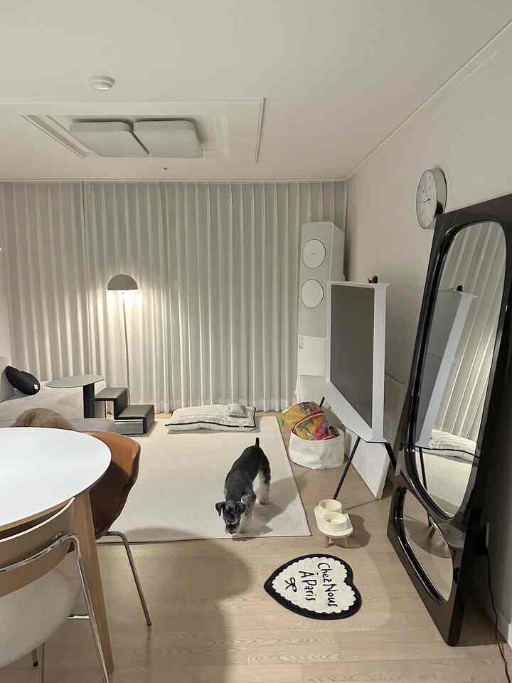 白とナチュラルカラーのリビング、ペットの犬と全身鏡、サイドテーブル、ラグが配置された雰囲気のある空間