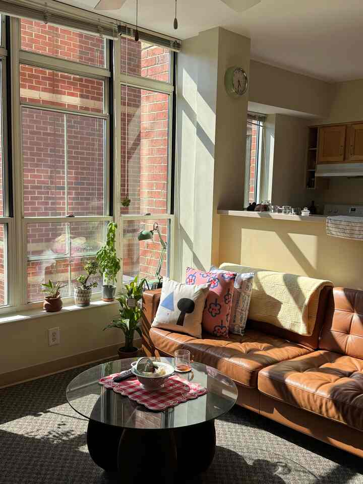 Warm natural-toned living room featuring a brown leather sofa and multiple plants, creating a cozy atmosphere