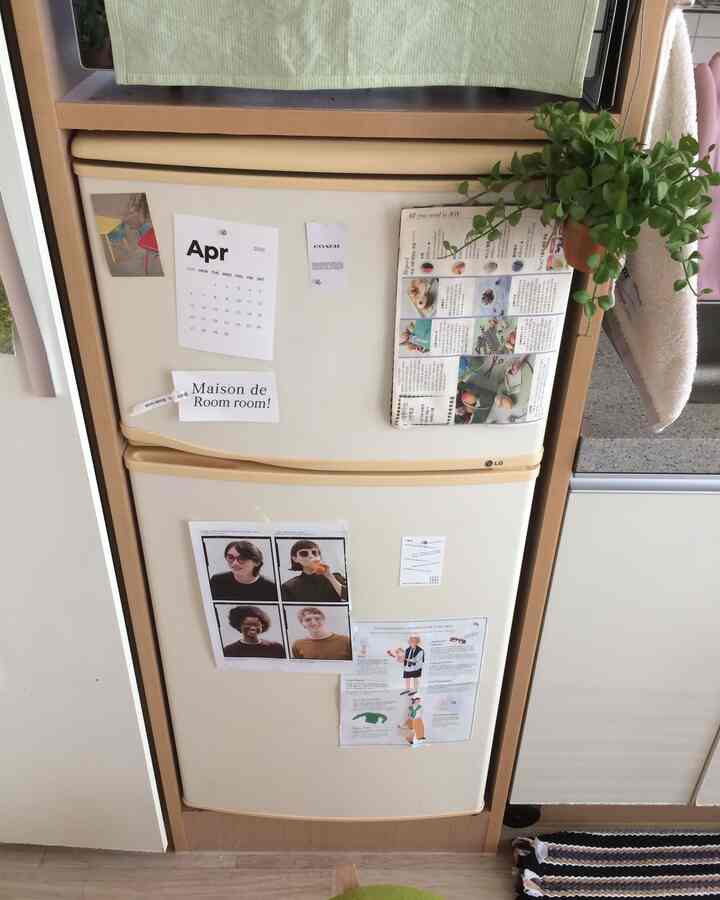 白と木目調が調和するキッチン、冷蔵庫の上に植物が置かれ、自然な雰囲気を醸し出すインテリア