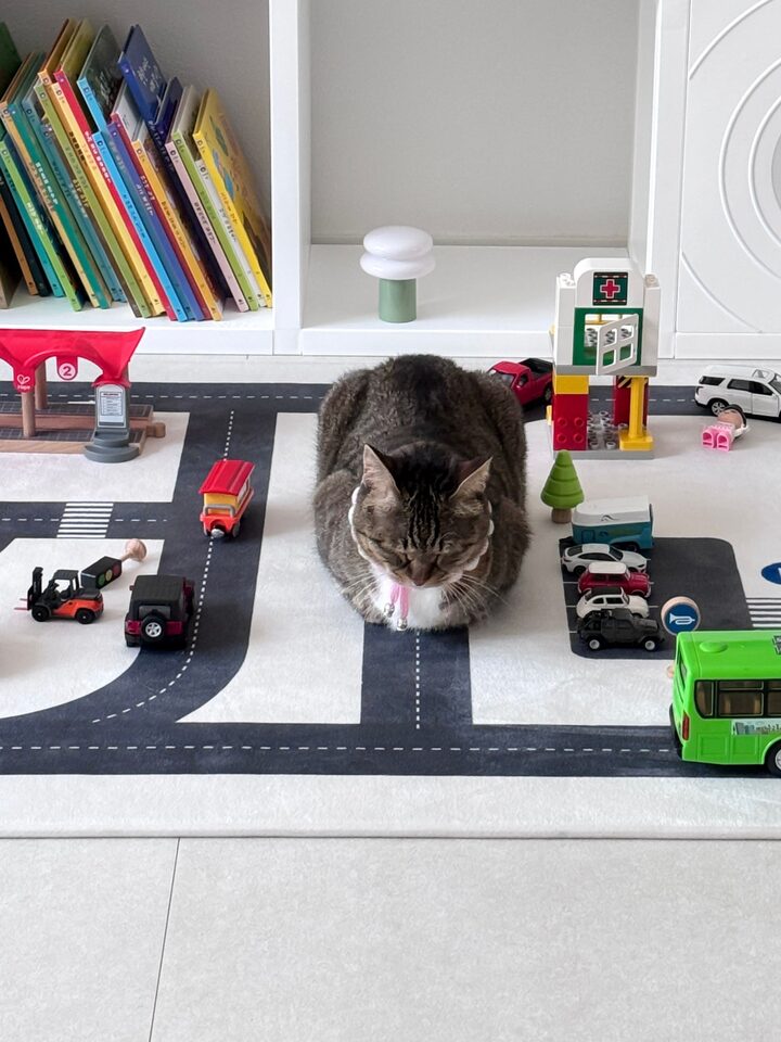 short form carousel card thumbnail