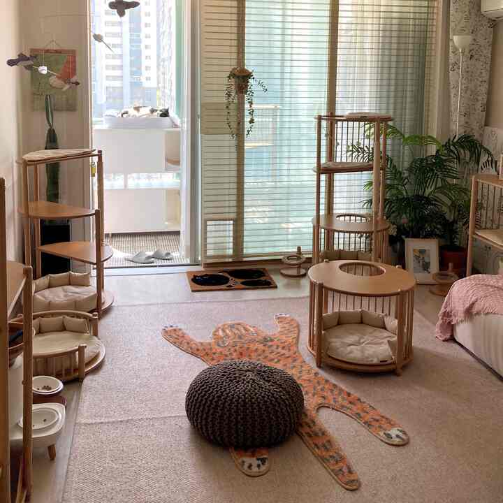 暖かい木目調とベージュ色のリビング、キャットタワーやペットベッドが配置された心地よい自然なインテリア