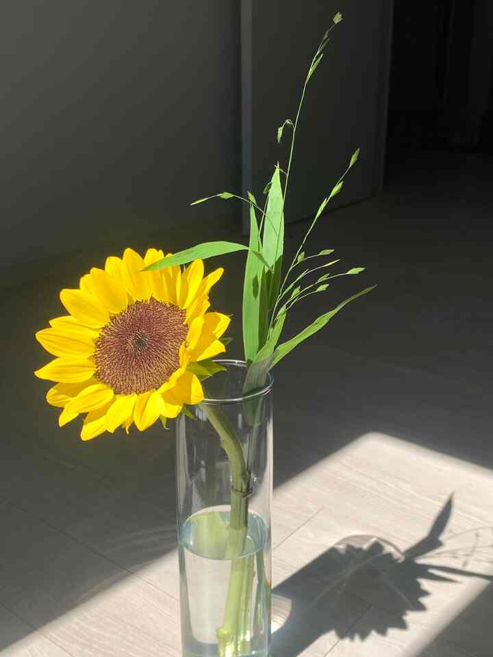 #식물한스푼 両親たちの生きた花束、小さな鉢植え、さらには木のオーナメントさえも買いに行くほど定番の花屋があります！ 
実は記念日が年に何度もならないので、常連という言葉は無色だが☺️..それでも毎回探してくれてありがとう。
しばしば何日でもない時も花一本を別々に包んでくれましたが！

最後のひまわりを最後にお店をやめました。.🌻 

