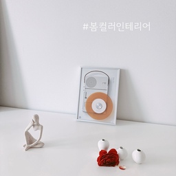 #봄컬러인테리어 
봄을 맞아 기분 전환으로 포스터를 들였는데, 
작은 포스터 하나지만 은근 포인트 되어 공간이 훨씬 더 정돈되고, 예쁘게 느껴져요.
그 앞에 살포시 놓인 떨어진 동백꽃잎은 깊은 계절의 감정을 전해주는 것 같아요 :) 
#디터람스 #미니포스터 #포스터 #탁상액자 #마오리코로키아 #조화 #자라 #자라스툴 #스툴 #이케아 #이케아말름 #말름서랍장 #동백꽃 #다이소달항아리 #다이소 #침실 #생각하는사람 #오브제 #화이트인테리어 