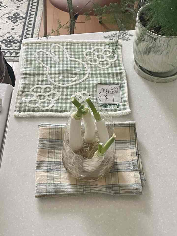 ナチュラルな緑色調のキッチン空間、チェック柄のランチョンマットと植物、新鮮なネギが置かれた雰囲気のあるインテリア