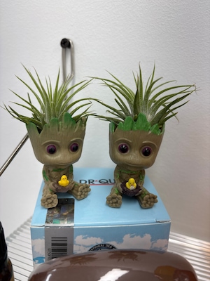 Review 2