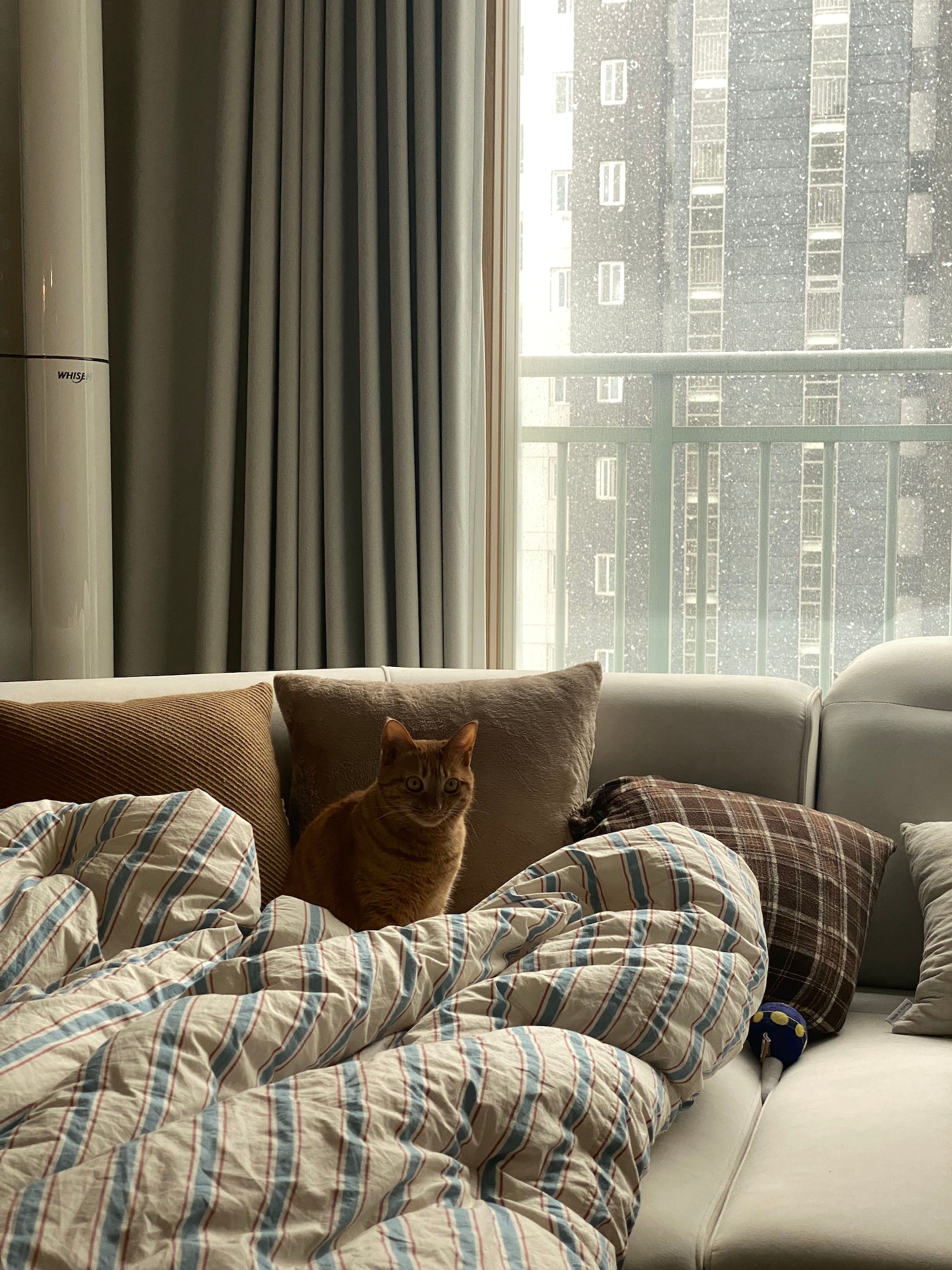 Autumnal Mix & Match Cushion Cover Series user photo