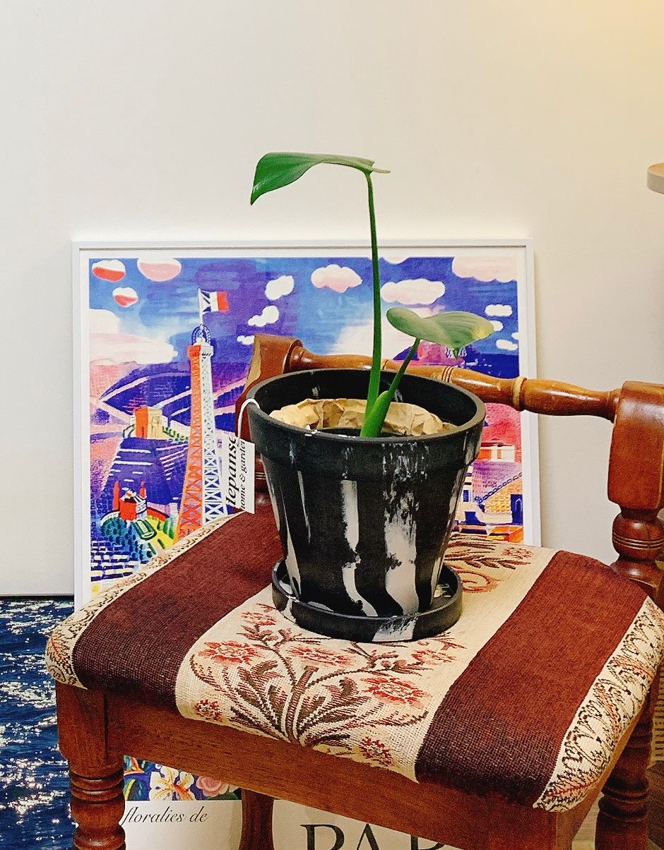 Marbled Plastic Flowerpot user photo