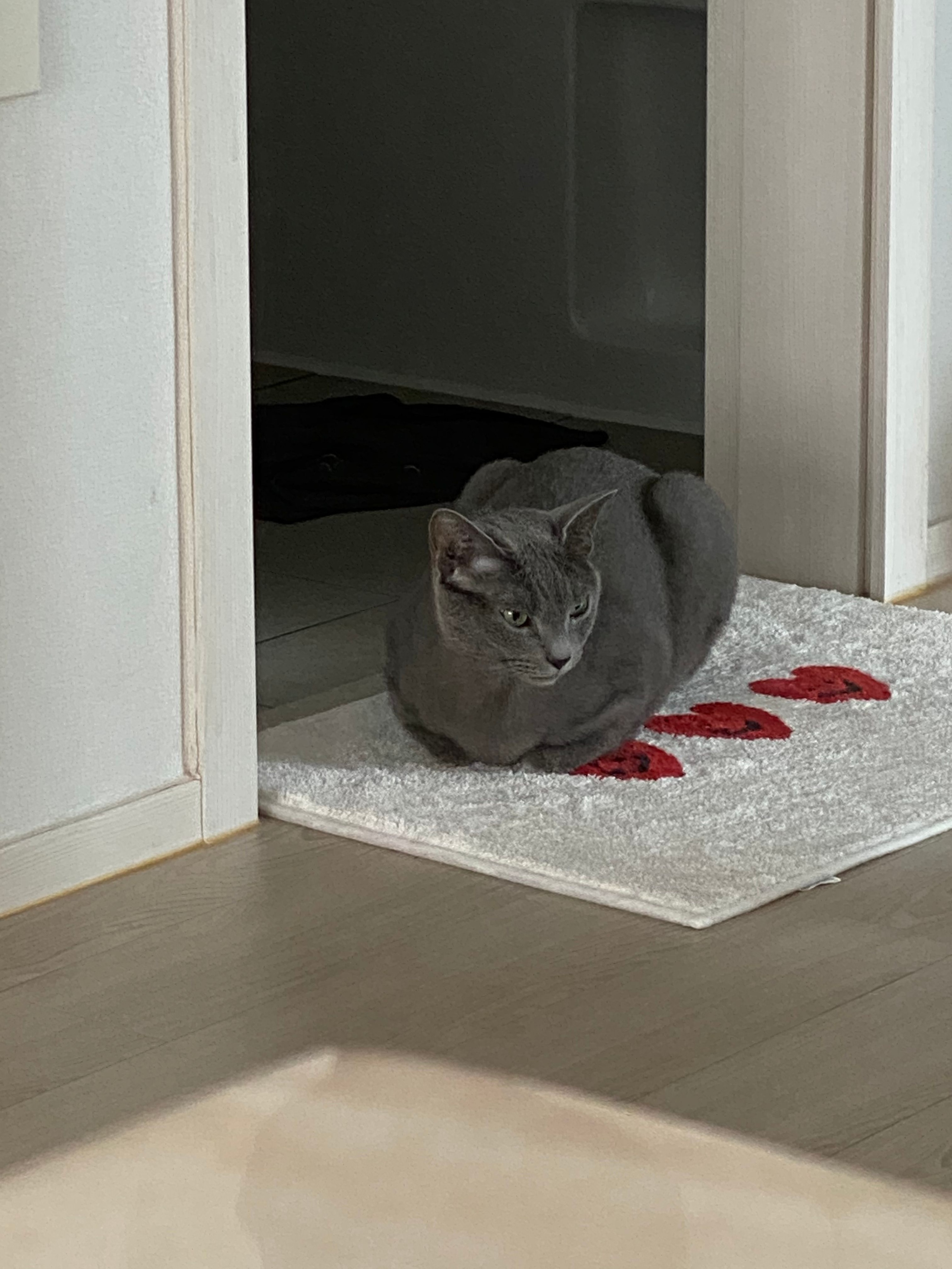 Heart Bath & Kitchen Mat user photo