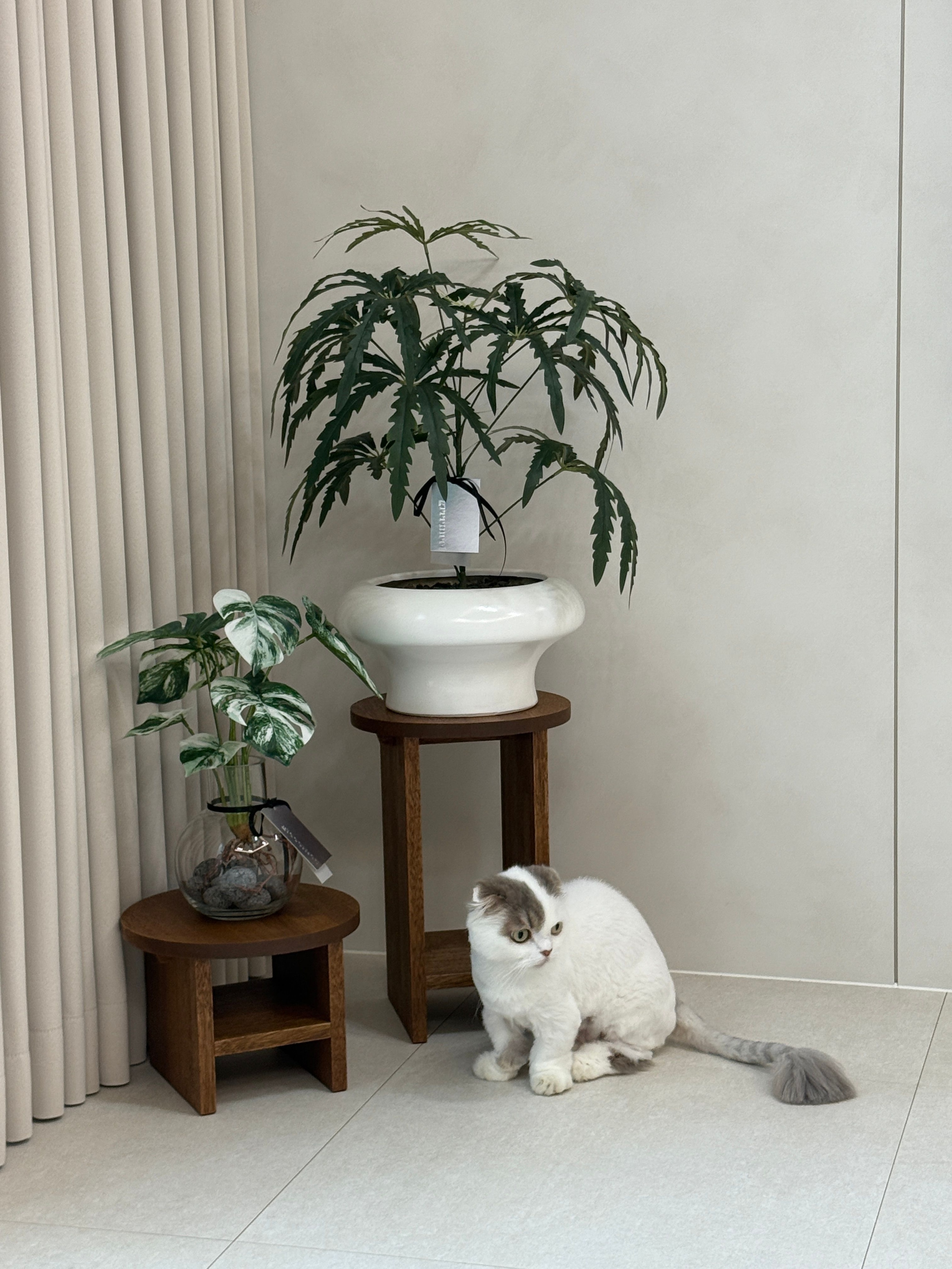 Wooden Flower Pot Stand user photo