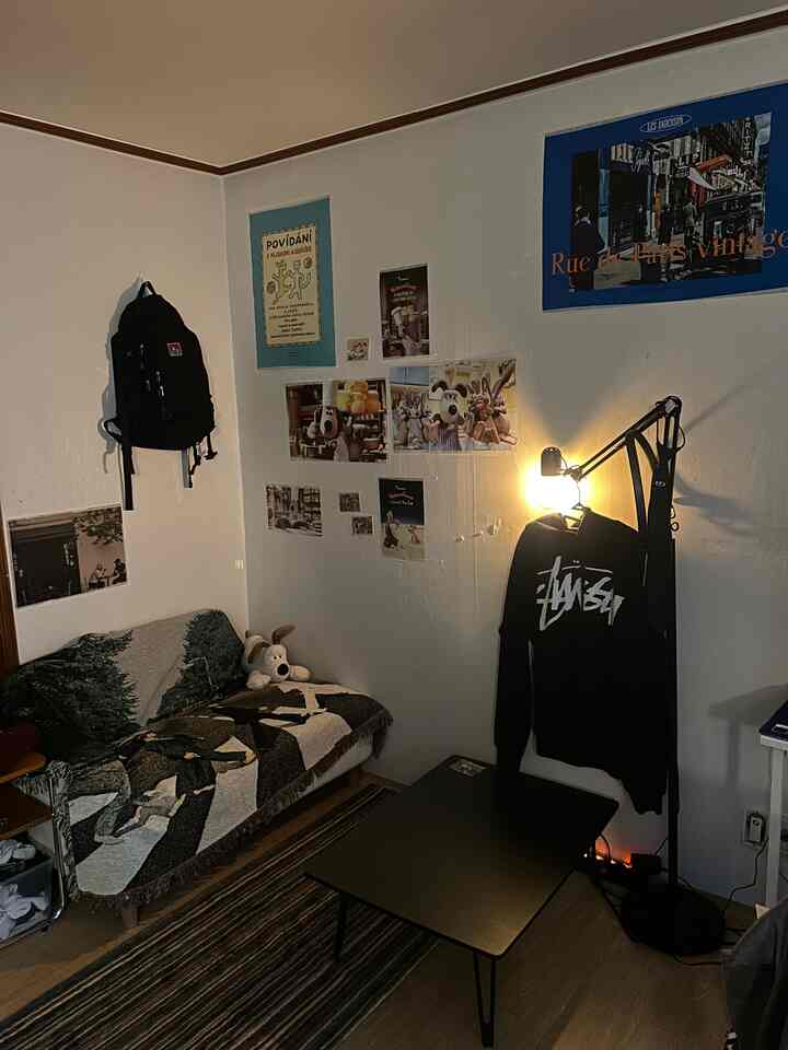 暖かい照明とビンテージポスターがある狭い一人暮らしのリビング、黒い柄のソファと低いテーブルが配置された雰囲気のある空間