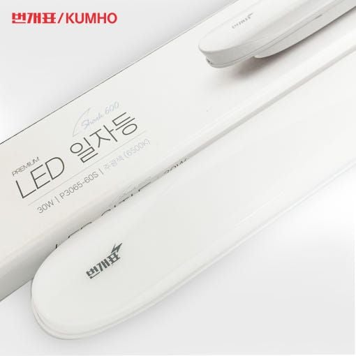 번개표 고정형 LED 등기구 (일자등 30W) 주광색 램프 