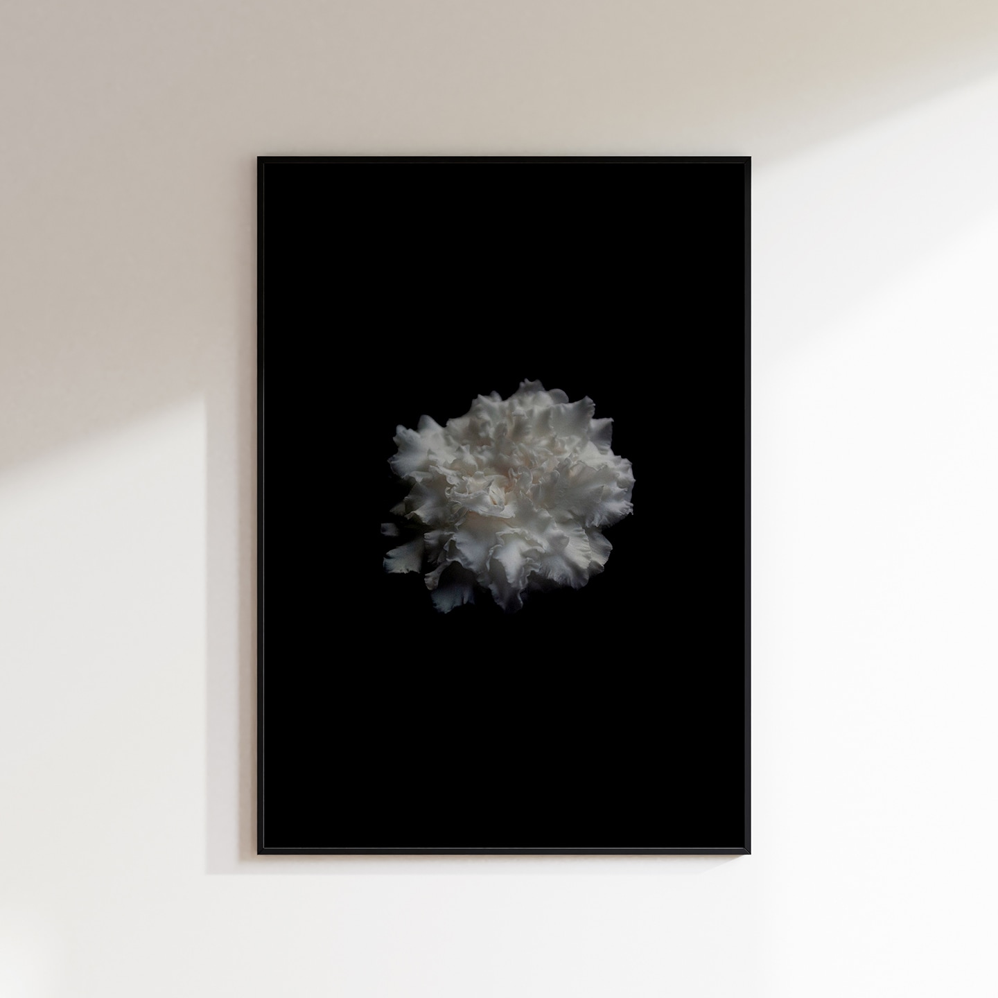 어픽처모먼트 2+1 모노톤으로의 초대 흑백 인테리어 액자 포스터 / 46 Dianthus