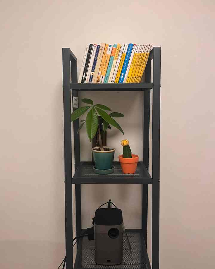 白い壁に黒のスチール棚、整然と並ぶ本と植物が配されたミニマルなインテリア