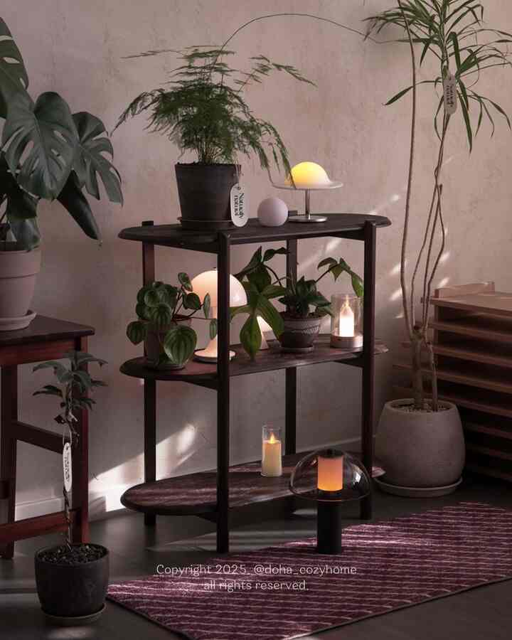 Cozy space featuring a natural-toned small shelf with various plants and soft lighting