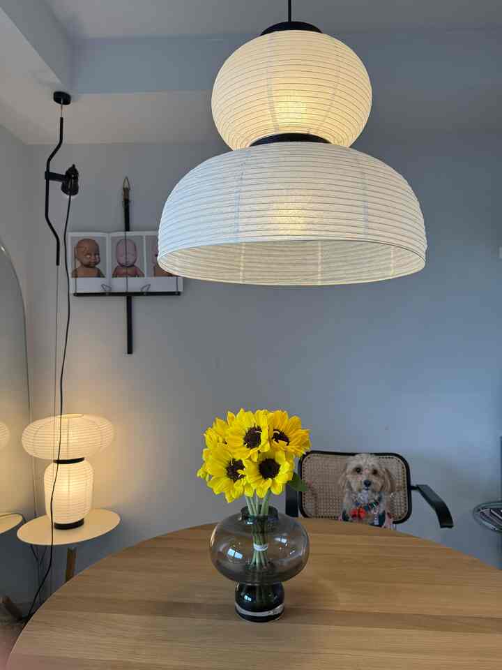 I brought home some sunflowers, which is rare at this time of year ☻

#interior #リビング #リビングインテリア #ひまわり #midcenturymodern #midcentury #interior #interiordesign #anothachoppa #mylvngrm 
