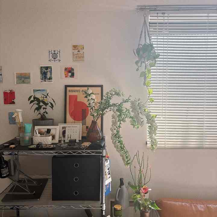 Warm natural-toned 8-tatami 1K studio featuring mid-century modern style with diverse plants creating a cozy atmosphere