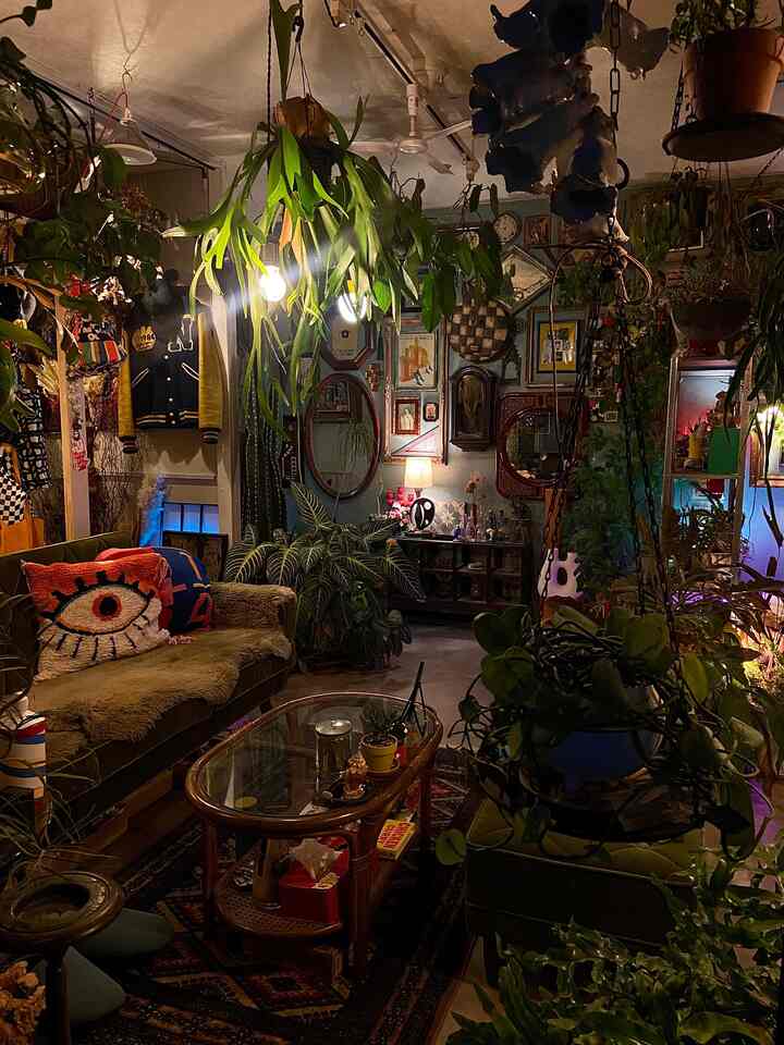 Warm green-toned living room featuring a mid-century modern green sofa and abundant indoor plants in a cozy interior space