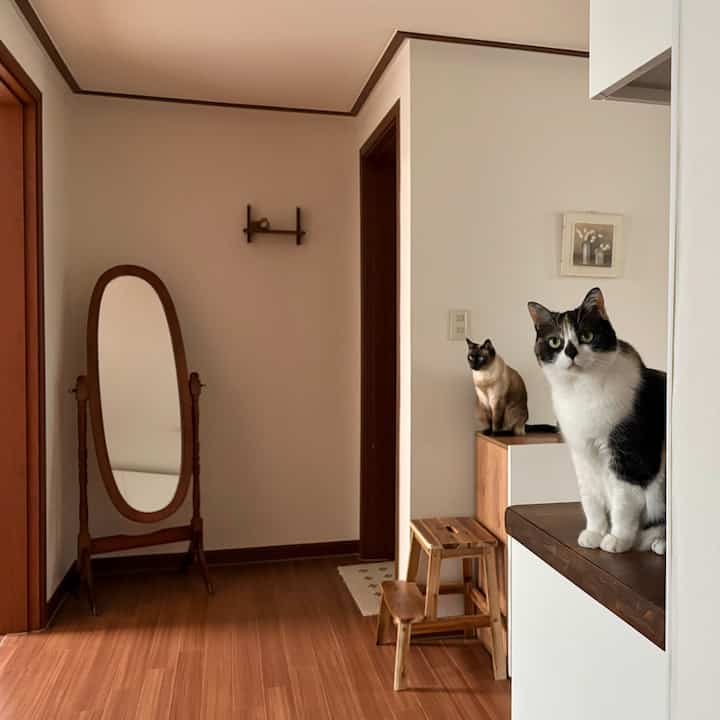 暖かい木目調と自然光が広がる玄関スペース、木製の全身鏡と小さな椅子、2匹の猫がいる雰囲気のあるインテリア