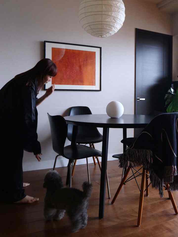 ブラウンの床と黒いダイニングチェアがあるナチュラルなトーンのダイニングルーム、犬と暮らす温かみのある空間