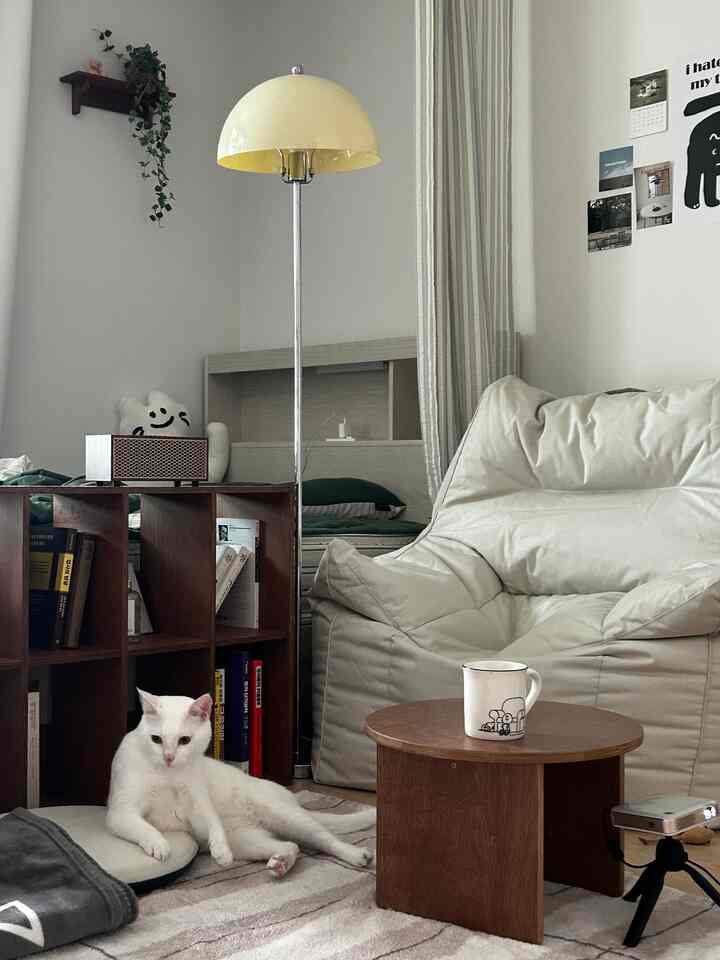 クリーム色のビーズクッションソファと木目調のテーブルが配置された木目調インテリアのリビング、ラグの上に白い猫が座る落ち着いた空間