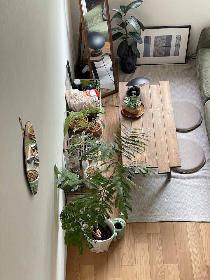#リビング #リビング小物 #リビング植物 #1LDK #ナチュラルスタイル #観葉植物 #ローテーブル・リビングテーブル 