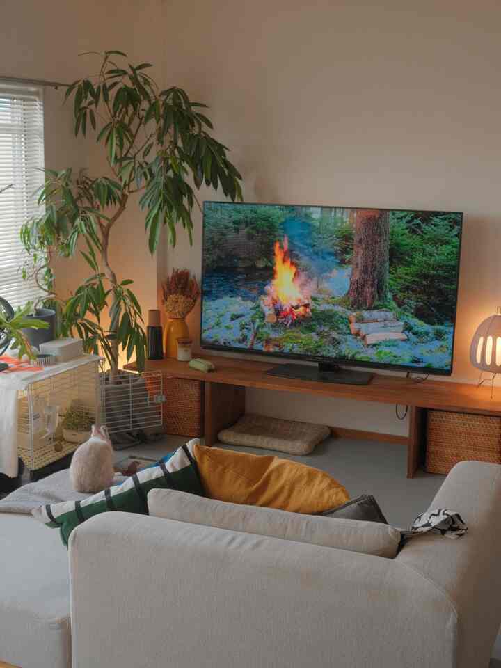 Natural-tone living room featuring a white sofa with cushions, a TV on wooden stand, a rabbit pet and indoor plants in cozy setting