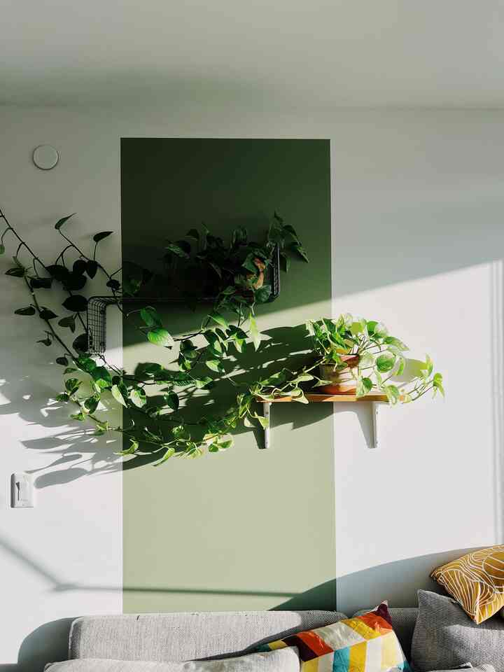Natural living room with green and white tones featuring plant shelves and colorful cushions bathed in sunlight