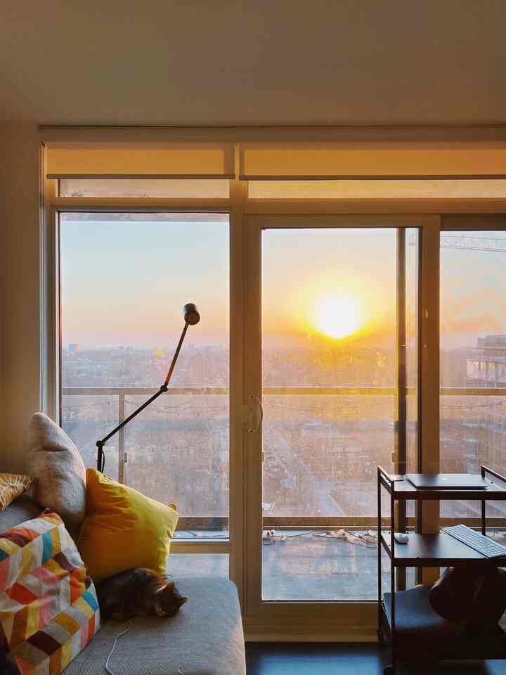 Lebih banyak tentang matahari terbenam

#kontemporer #livingroom #cats