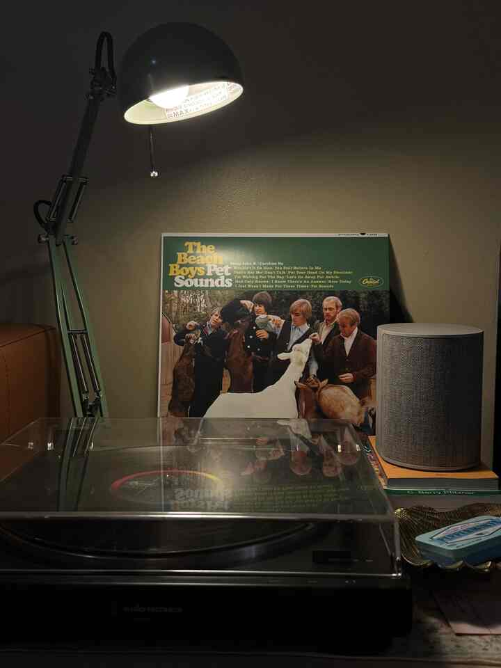 night mood 🖤

#turntable #music #lp 