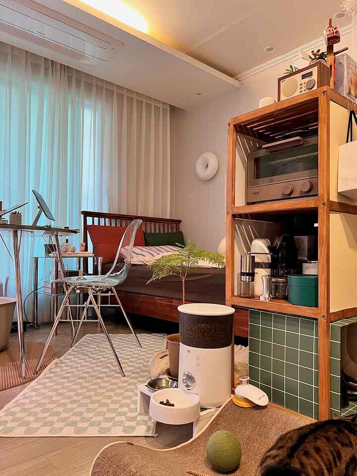ナチュラルな色調のコンパクトなワンルーム寝室、木製ベッドフレームと透明なチェア、犬用自動給餌器が配置された空間