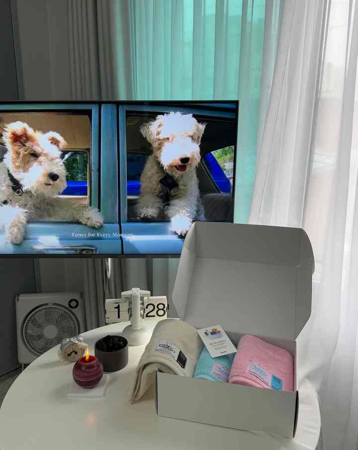 #실패없는선물추천

ドトムとボードラウンタオル1つほど持っていたかったのに、
私に編まれた - と登場した40数コマサホテルタオル、フロッピー🧖🏻‍♀️
⠀
タオルカラーにふさわしくラベルカラーまでリニューアルされたのを見て、
綺麗さとタオルに心からのブランドだったかったです🌷🫧
⠀
浴室の雰囲気を賭けても大丈夫で、ウサギのウールにも可愛い（？）
ギフトパッケージだから家がプレゼント用にも完全おすすめ
⠀
#flopy #플로피 #페이스타월 #호텔수건 #원룸꾸미기 #욕실인테리어 #6평원룸 #쇠테리어 #화이트인테리어