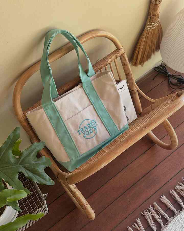 I got Trader Joe's bag, which was so hot these days !! 
It is so cute ✨✨

#traderjoes #minibag #broomstick #plant #wood #woodinterior 