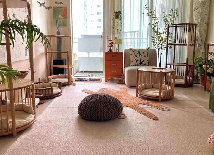 short form carousel card thumbnail