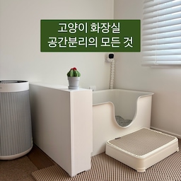고양이 화장실, 공간분리로 예쁘게 사용해보세요! 
개나리네 화장실 집들이 🏡
현재 인스타에서도 반응이 뜨겁습니다 🐱
사진 올리자마자 릴스보다 더 핫해지고 있어요. (🤩)
.
.
.
#공간분리인테리어 #고양이 #반려동물 #집사 #고양이인테리어 #집사일상 #침실인테리어 #틈새수납 #집사인테리어 #고양이발판 #위닉스공기청정기 #홈캠 #고양이화장실 #모래매트 #미니공기청정기 #빔프로젝터 #펫테리어 #냥테리어 #고양이화장실탈취제 #타일카페트 #홈캠거치대 #가벽 #틈새선반 #가벽 #미니가벽 #고양이화장실발판 #공기청정기 #침대사이드선반 #라샘틈새선반수납 #틈새공간활용 
