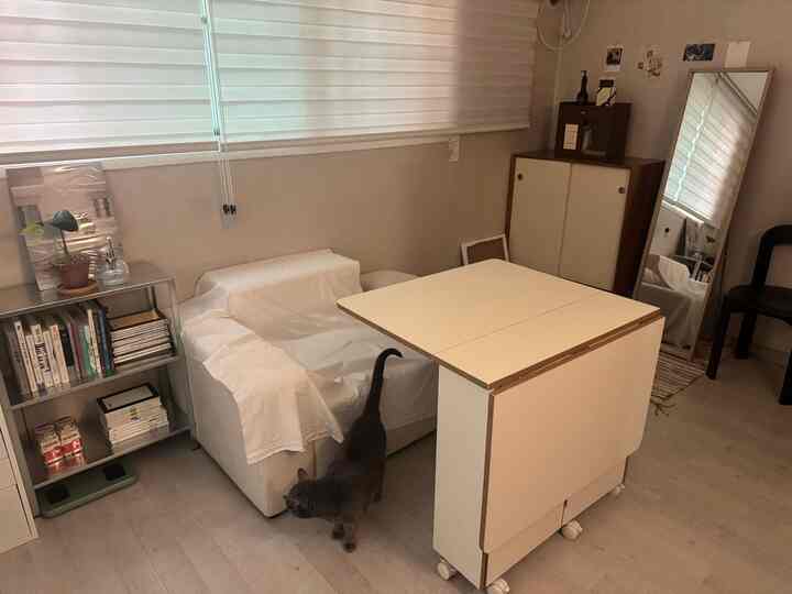 A cozy small living room in white and wood tones featuring a sofa and a foldable dining table