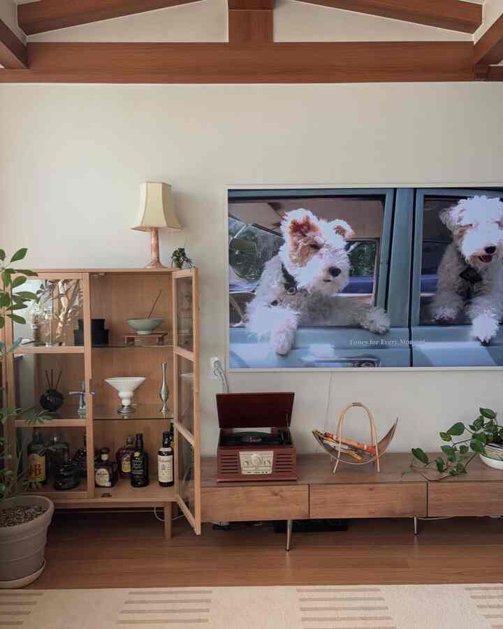 ナチュラルな木目調とヴィンテージの小物が調和するリビング、犬の写真と収納家具が配置された落ち着いた空間