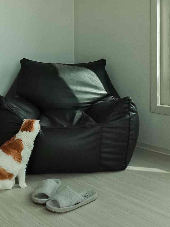 黒のレザービーズクッションとオレンジ模様の猫がいる、落ち着いた雰囲気のリビング