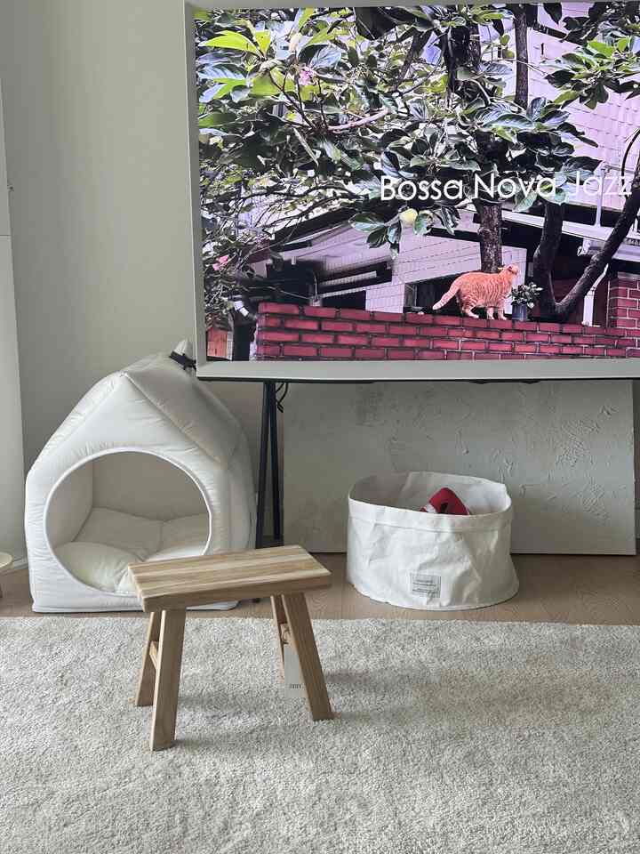 ホワイトとウッドトーンが調和するリビング、ザラホームの木製スツールとペットハウス、おもちゃ収納が配置されたモダンで清潔感のある空間