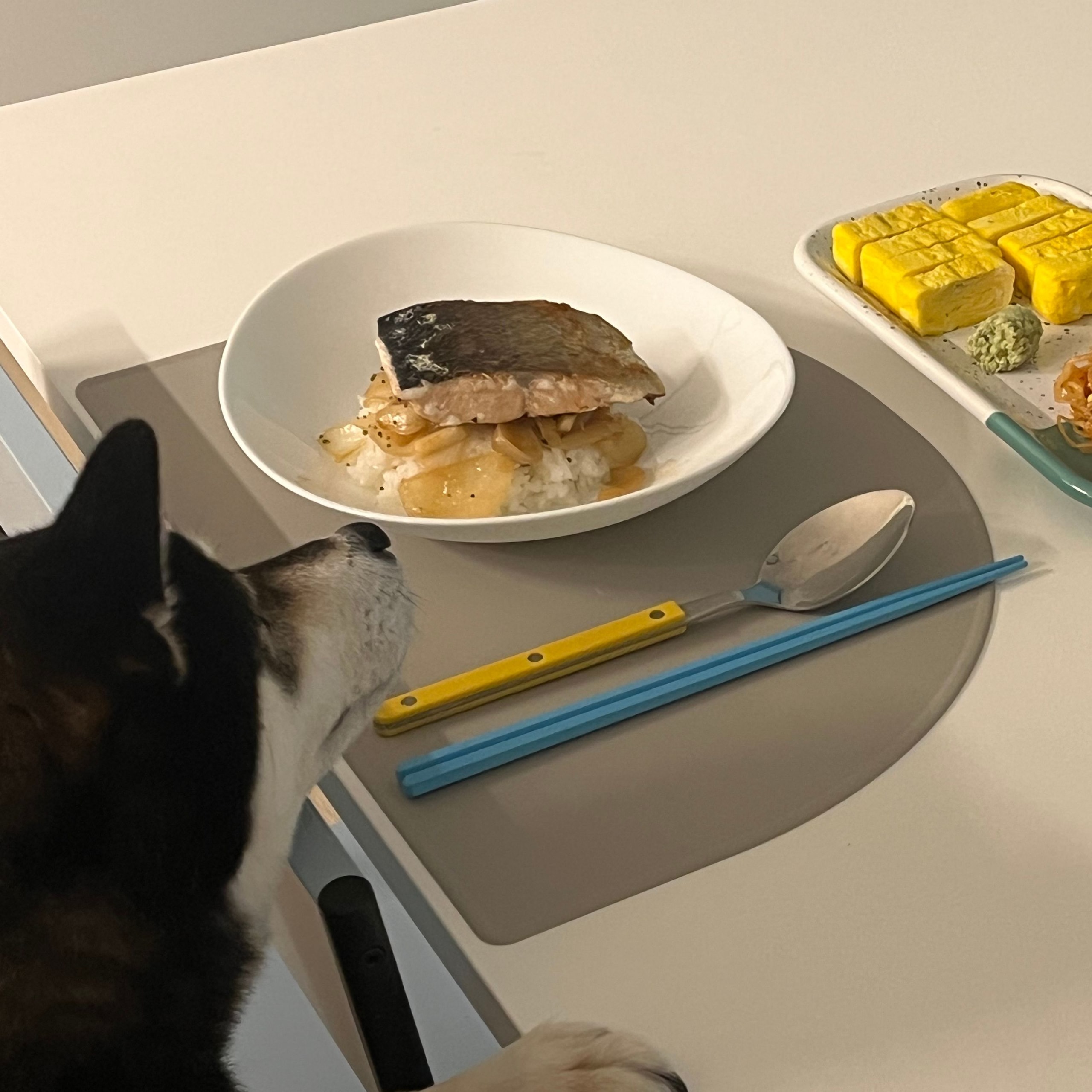 Sierre Farbe Modern Flatware Set for 2 user photo