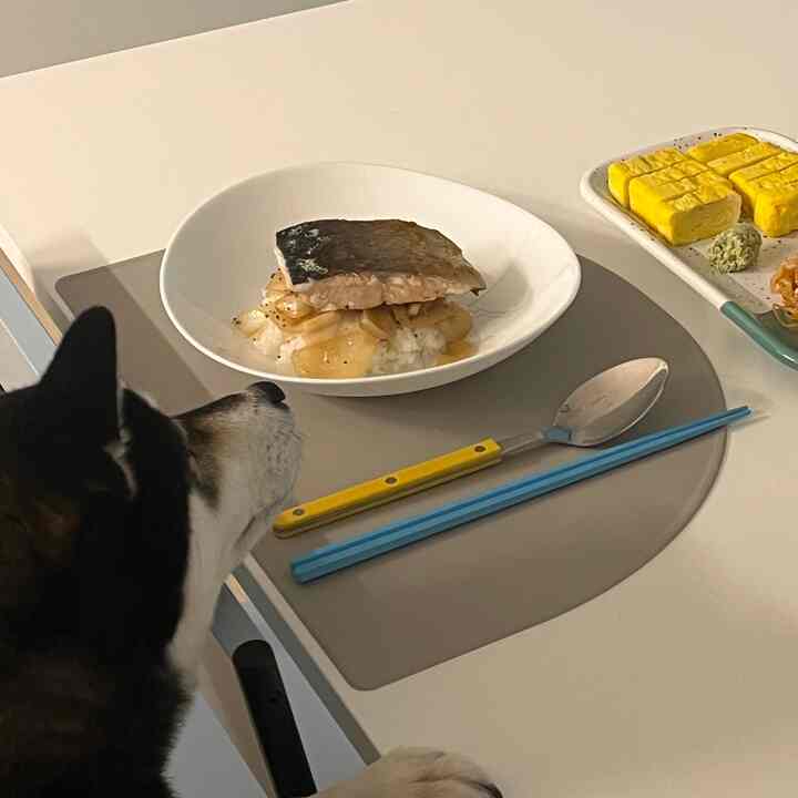 Tagged posts featuring Colorful Non-Slip Chopsticks – Set of 5 Pair 3